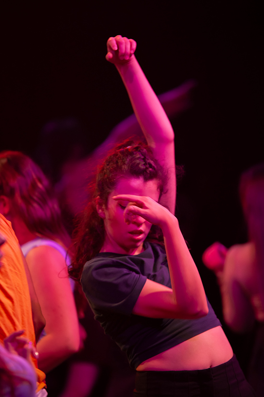 Ensamble Elogio en la trastienda 2