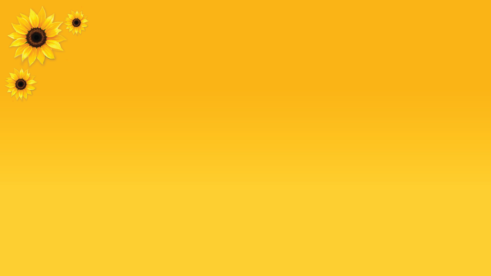 Fondo amarillo con girasoles en la parte izquierda
